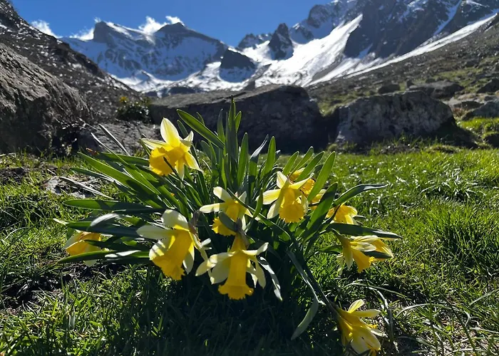 Piau Engaly 50 M Des Pistes De Et Du Cœur De Station Appartement *