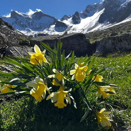 Piau Engaly 50 M Des Pistes De Et Du Cœur De Station Appartement *